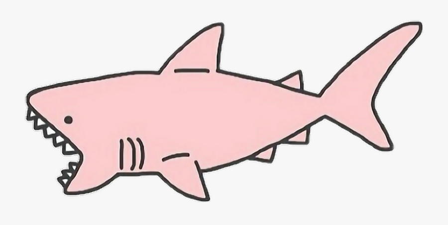 1024 X 471 1 0 - Pink Shark Transparent, Transparent Clipart