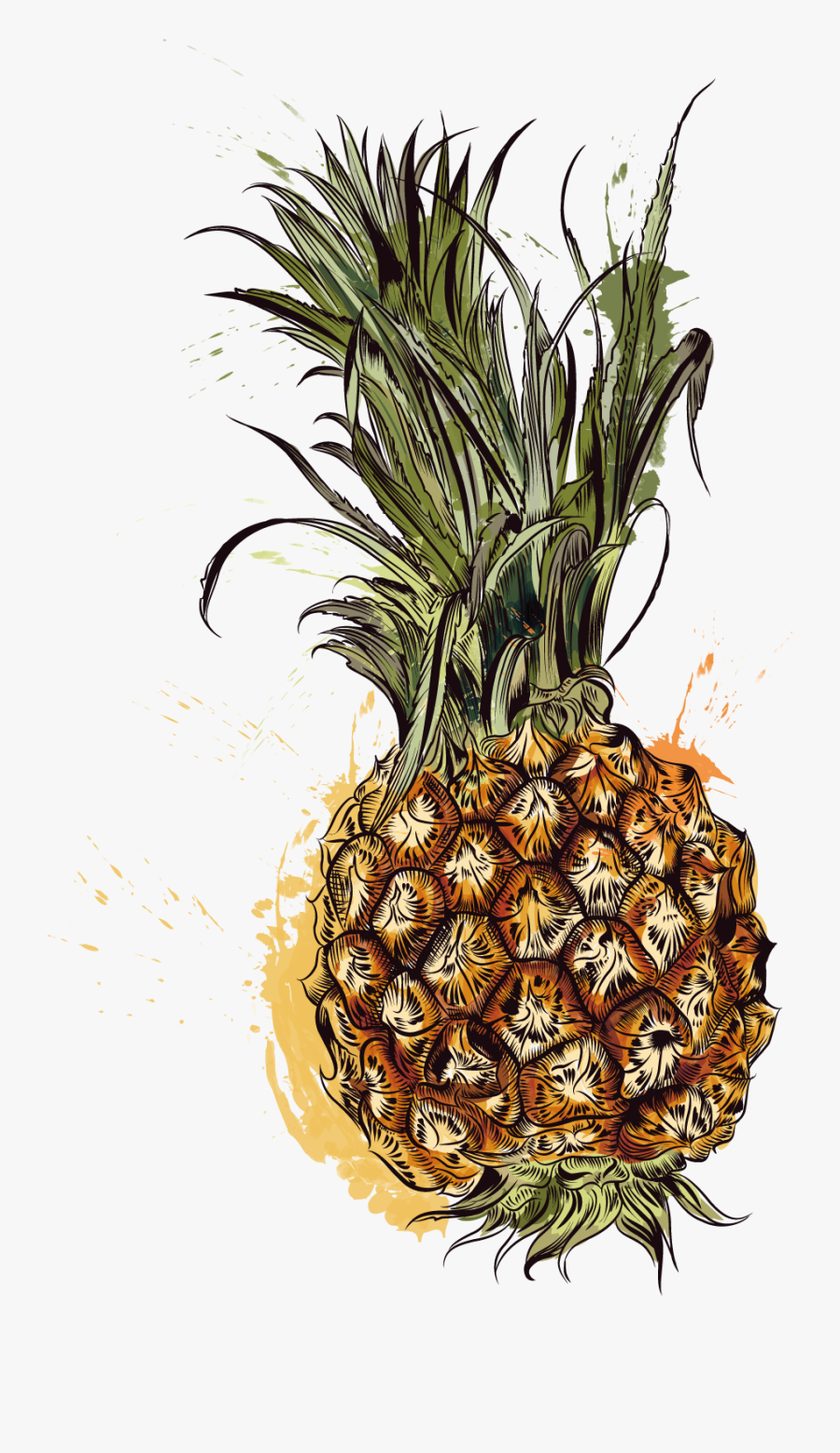 Pineapple Tropic Fruits - Papier Peint Motifs Ananas, Transparent Clipart