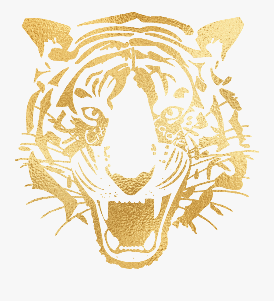 Transparent Tiger Icon Png - Hull City Ladies Football Club, Transparent Clipart