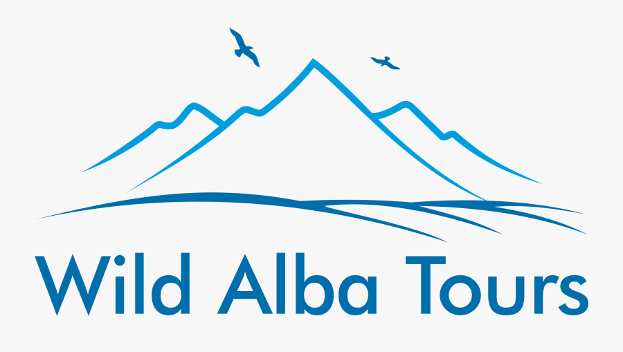 Wild Alba Tours - Free Bird, Transparent Clipart