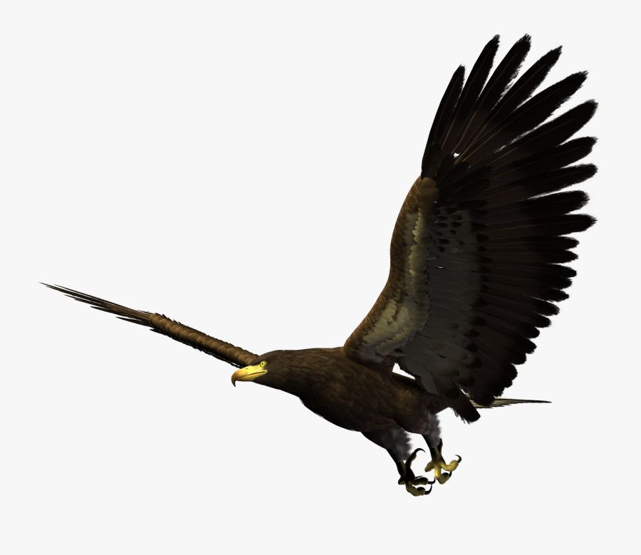 Bald Eagle Flying Png - Hawk Flying Png, Transparent Clipart