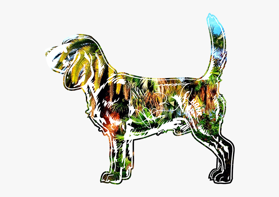 Beagle Vector Leash - Ancient Dog Breeds, Transparent Clipart