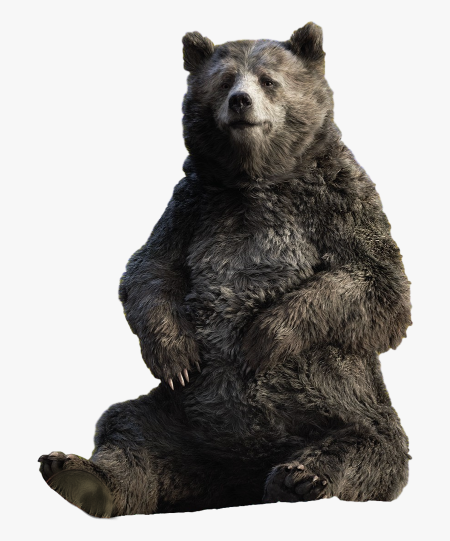 Transparent Baloo Png - Live Action Baloo Jungle Book, Transparent Clipart