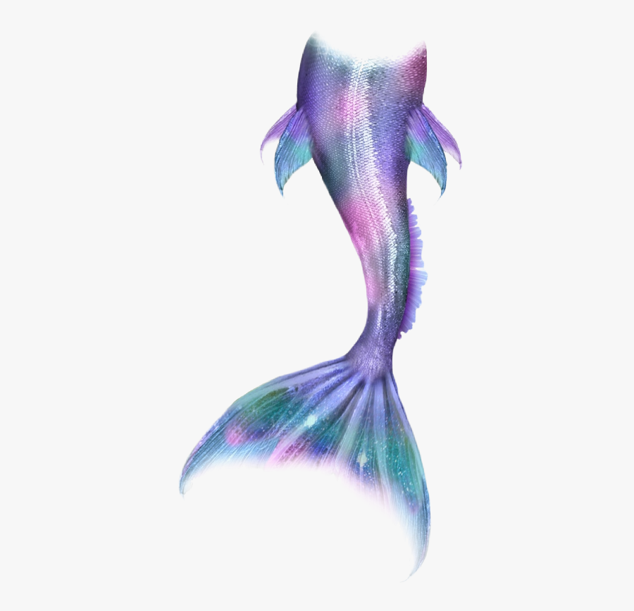 Mermaid Mermaidlife Mermaidtail Mermaids Merman Tail - Transparent Mermaid Tail, Transparent Clipart