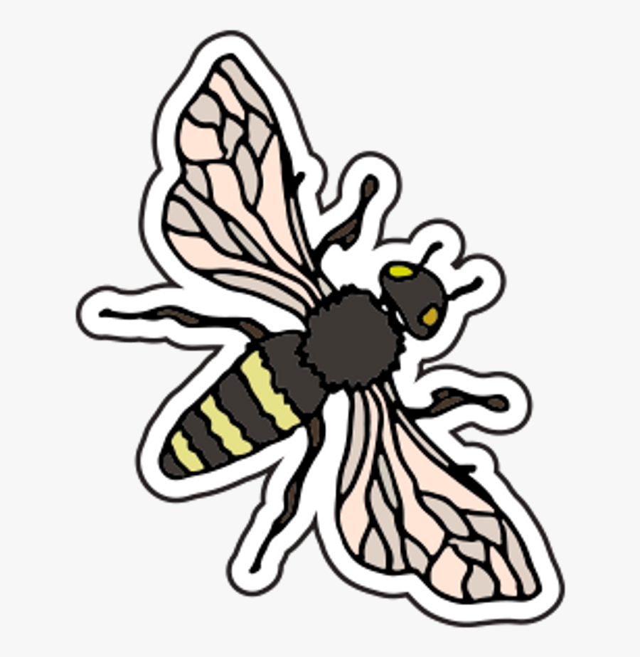 Pastel Clipart Bee - Net-winged Insects, Transparent Clipart