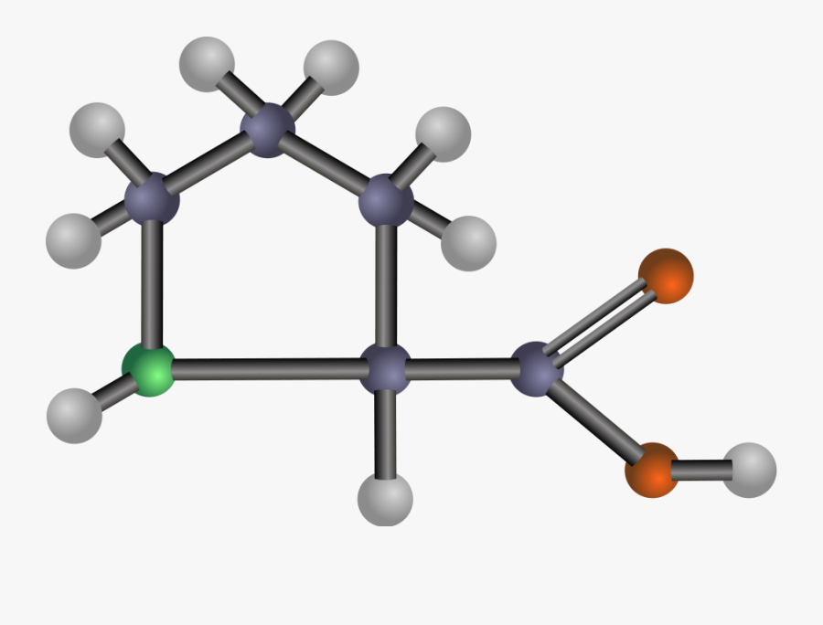 Proline Svg Clip Arts - Amino Acids Clipart, Transparent Clipart