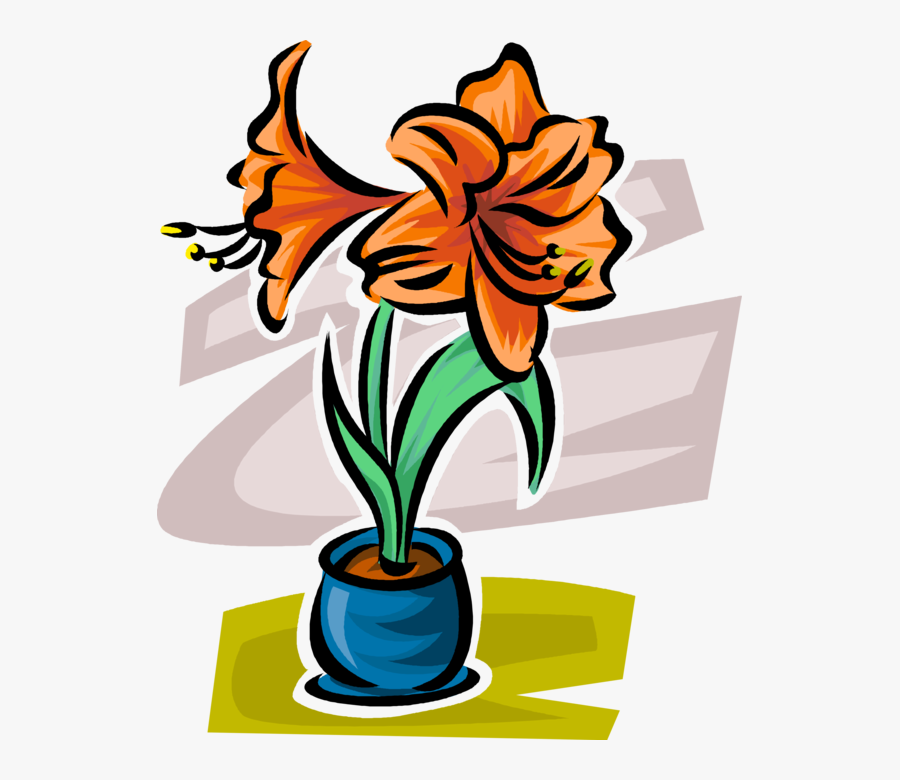 Vector Illustration Of Botanical Flowering Plant Garden - Lily, Transparent Clipart