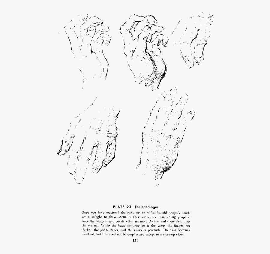 Hands And Feet Clipart, Transparent Clipart