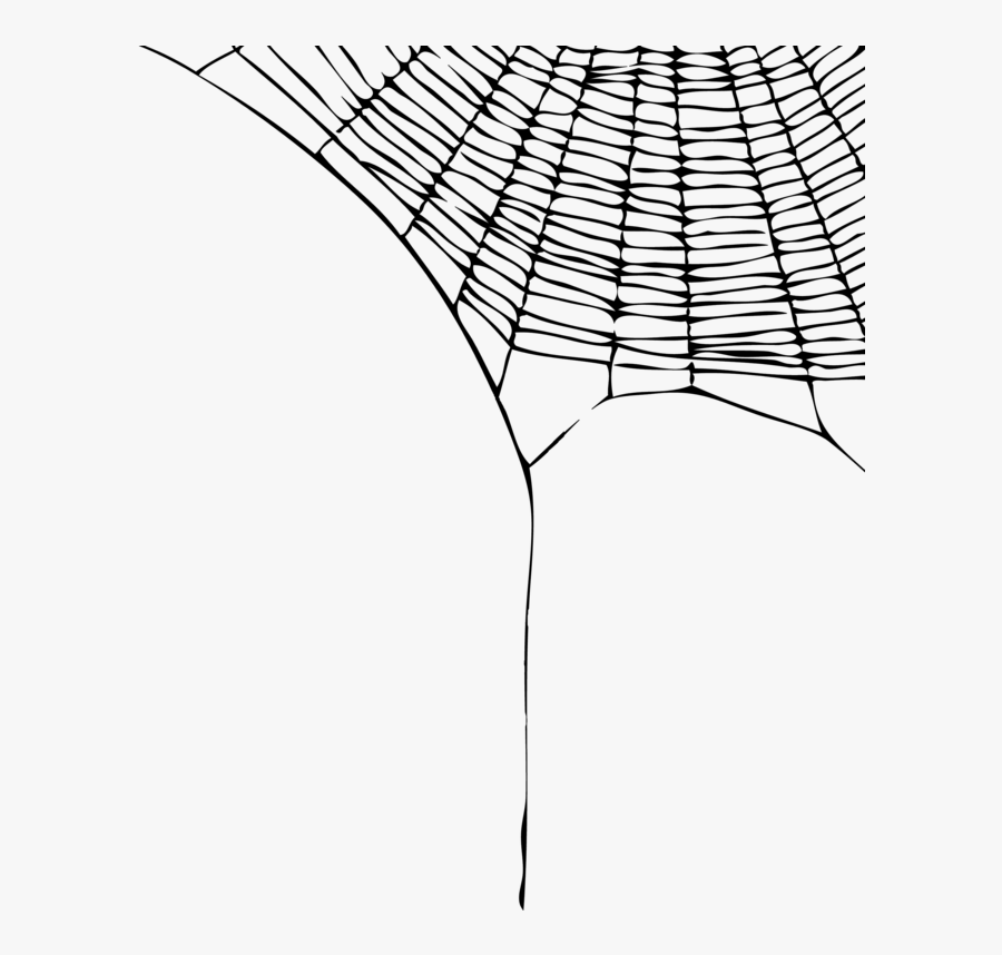 Collection Of Corner - Spider Web Transparent Background, Transparent Clipart