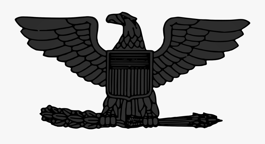 U S Army Colonel Eagle Insignia