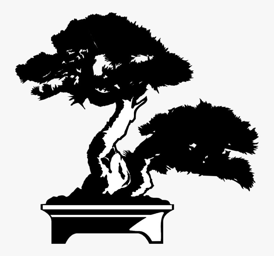 Yelm Bonsai Nursery - Bonsai Tree Icon, Transparent Clipart
