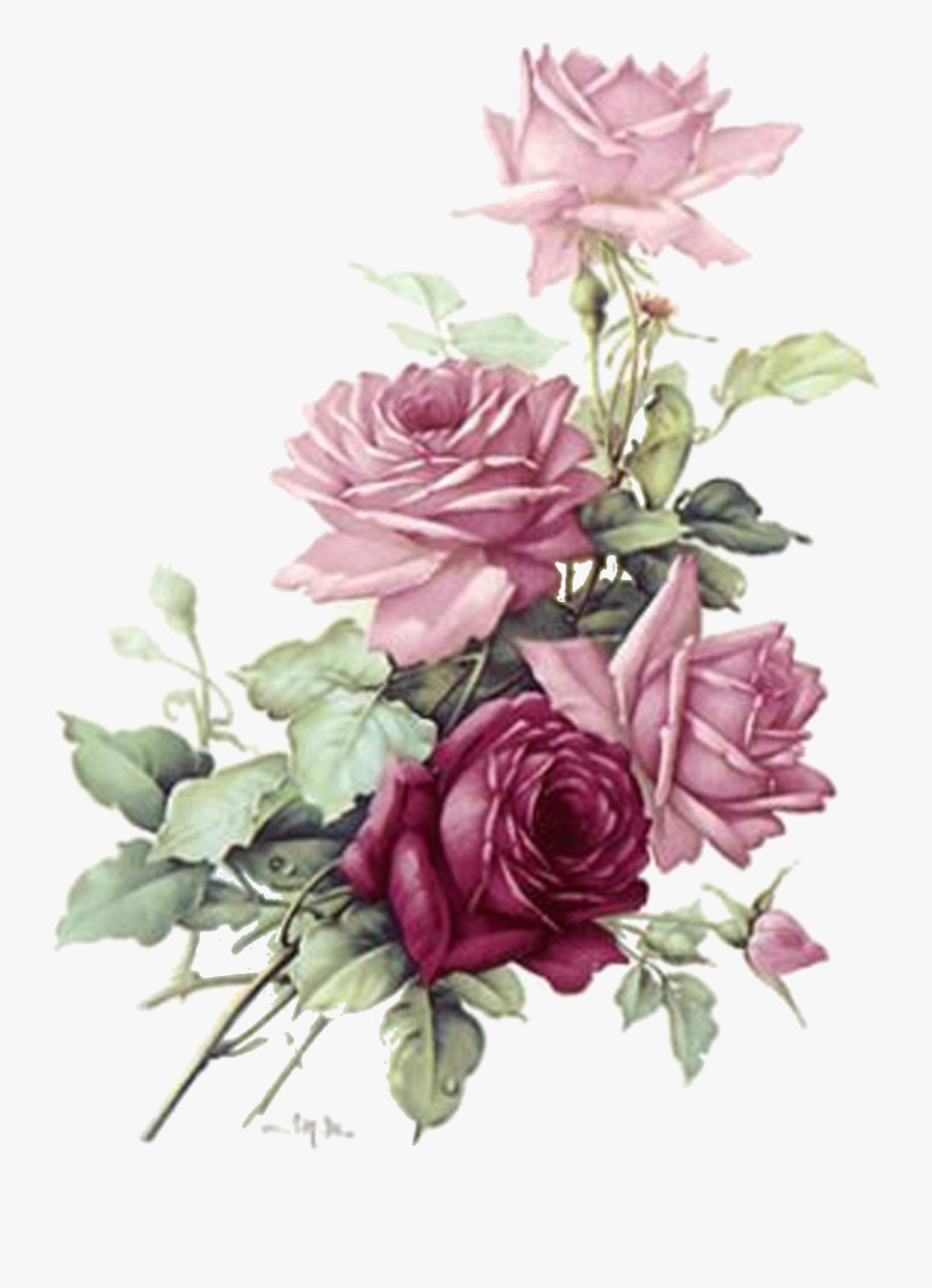 Transparent Vintage Roses Png - Pink Roses Png Transparent, Transparent Clipart
