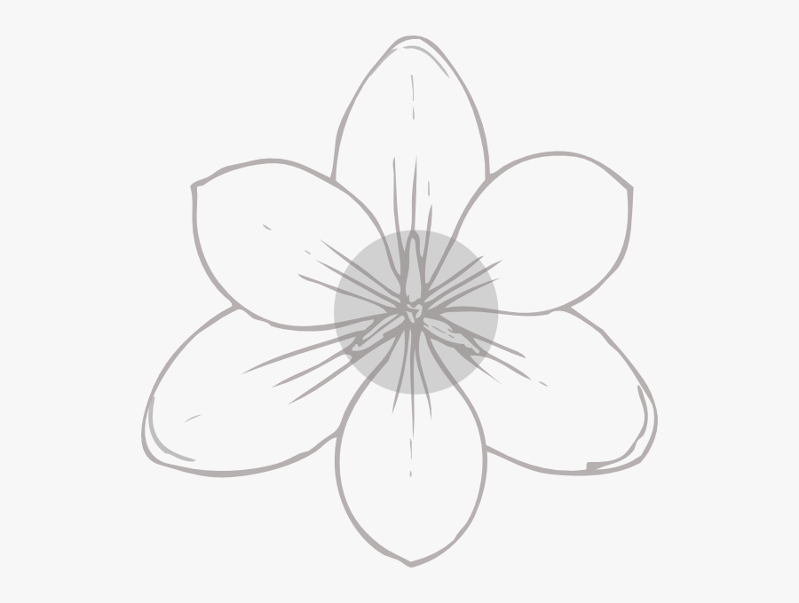 Flower Coloring Page Png , Free Transparent Clipart - ClipartKey