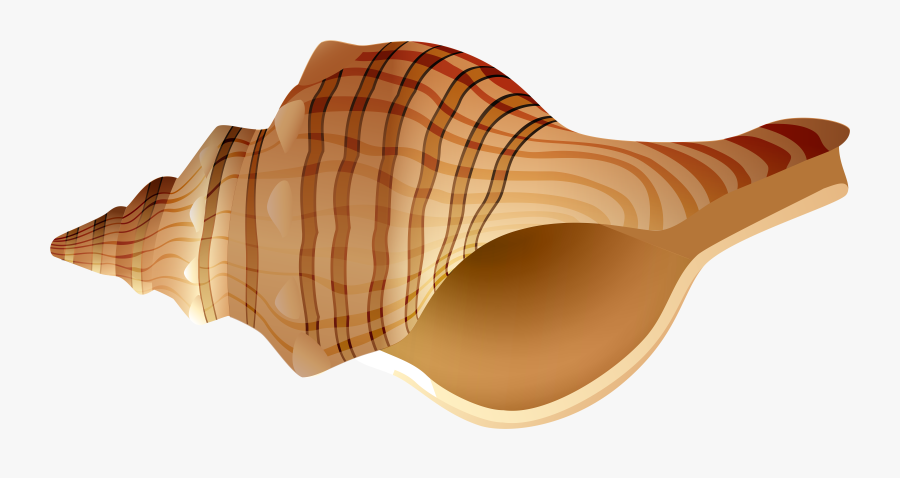 Shell Clipart Png - Wood, Transparent Clipart
