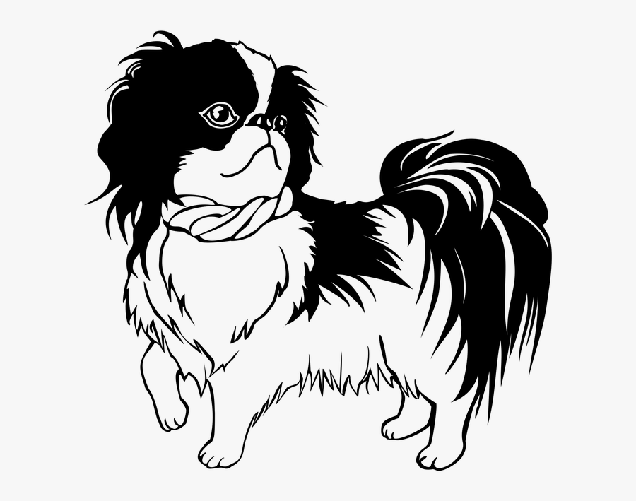 Dog Png Clipart - Shih Tzu Line Art , Free Transparent Clipart - ClipartKey