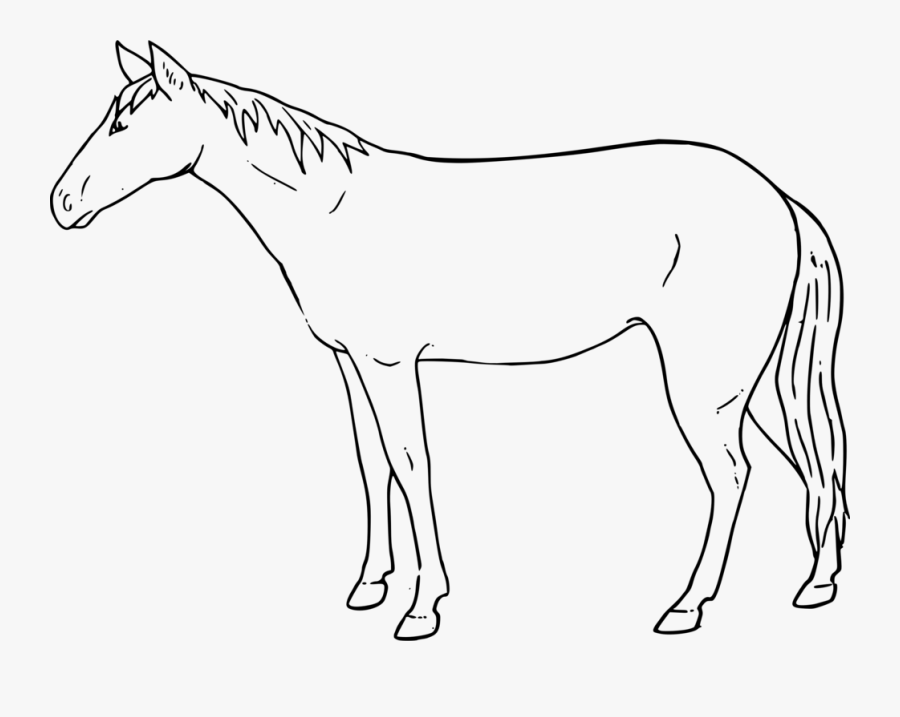 Pony,horse Tack,colt - Easy To Draw Horse Standing, Transparent Clipart