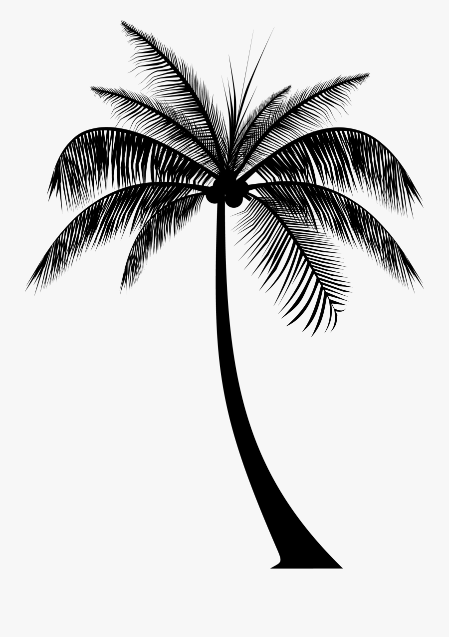 Transparent Palm Tree Silhouette Png - Palm Trees Silhouette Png, Transparent Clipart