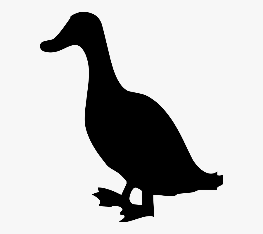 Silhouette, Bird, Nature, Dark, Duck - Duck, Transparent Clipart