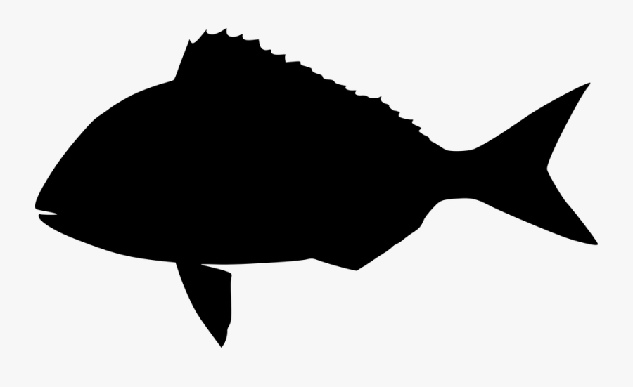 Fish, Sheepshead, The Silhouette, Graphics, Black - Montenegro Black Map, Transparent Clipart