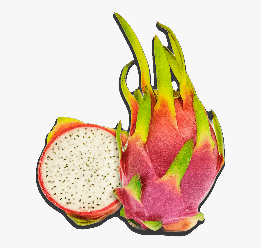 Dragon Fruit Pictures Free Dragon Fruit Clipart - Pitaya, Transparent Clipart