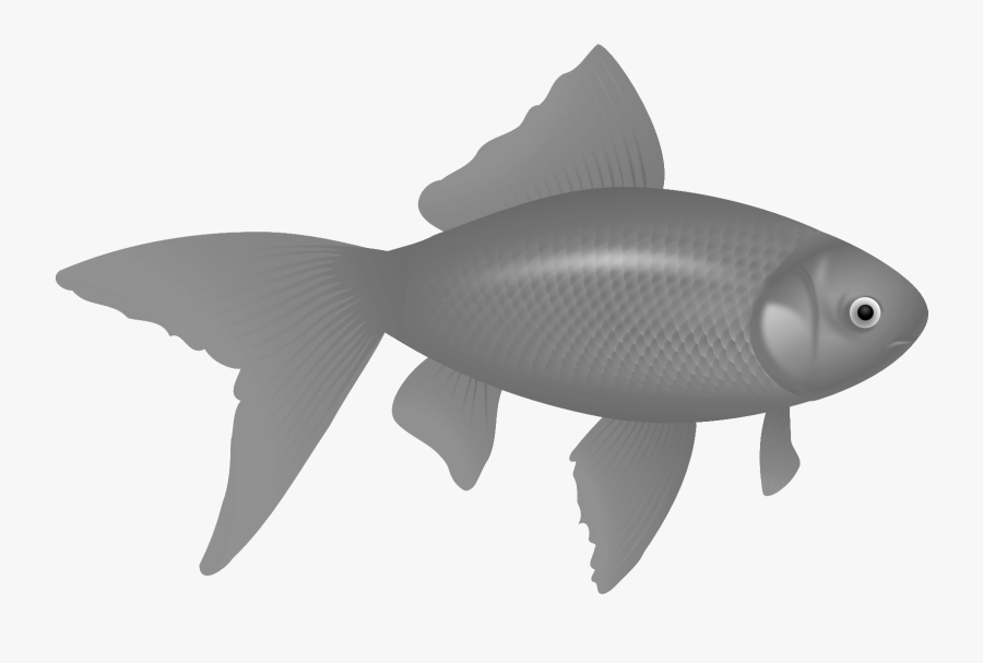 Transparent Fish Black And White Png - Red Fish Clipart, Transparent Clipart