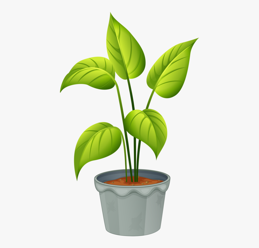 Plant Clipart House Plants That Never Die... Indoor Plant