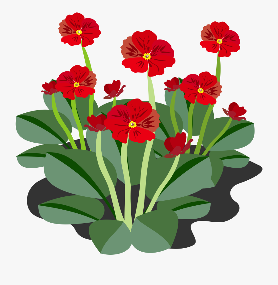 Clip Art, Flor, Flora, Flower, Nature, Plant - Flowering Plants Clip Art, Transparent Clipart