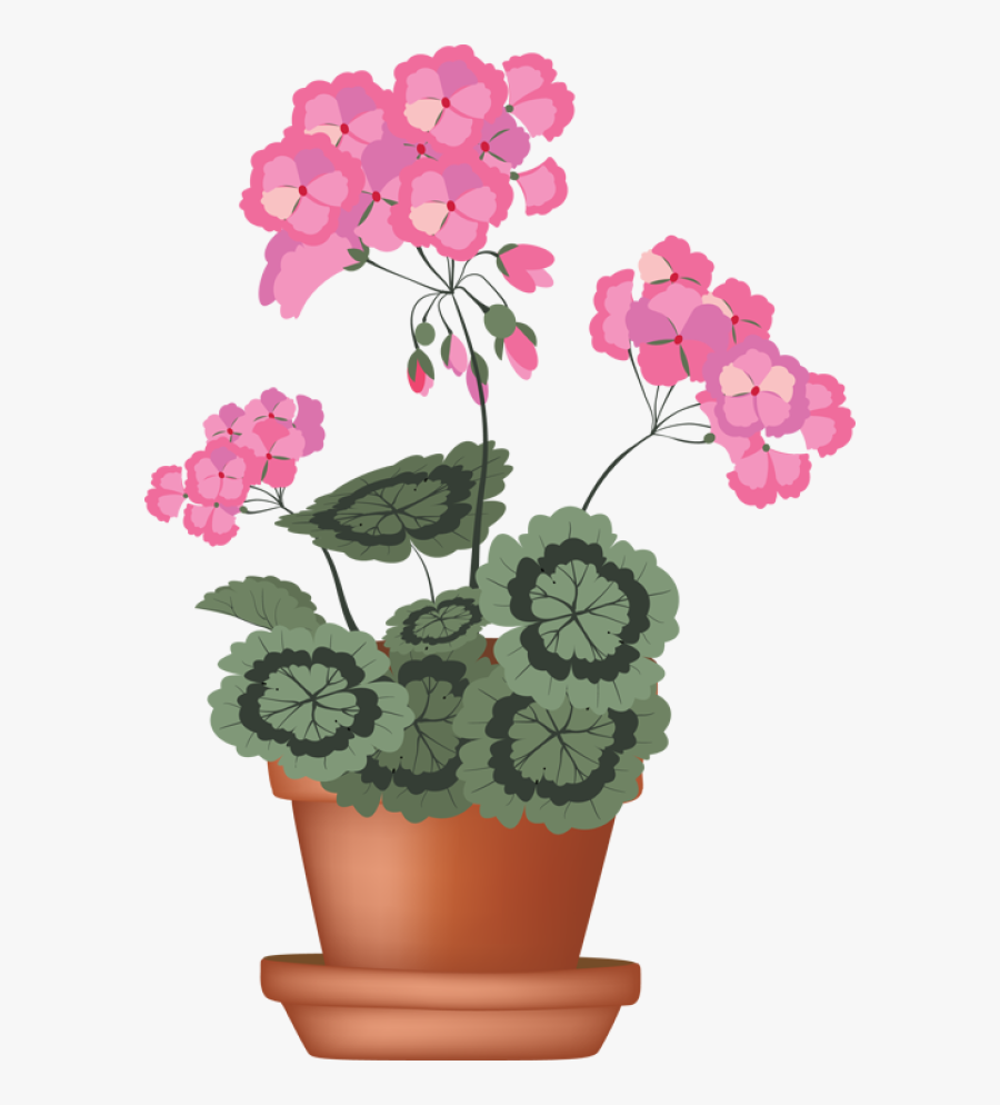 Clip Art Of A Geranium In A Flower Pot - Pot Of Geraniums Clipart, Transparent Clipart
