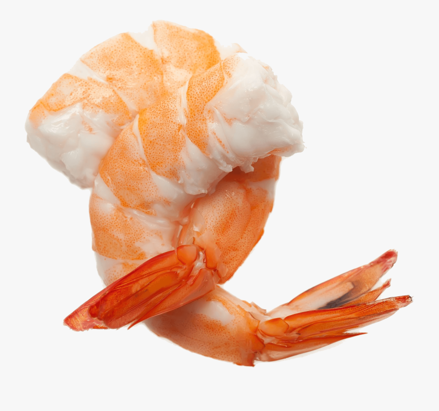 Shrimp Cocktail Png - Shrimp Png, Transparent Clipart
