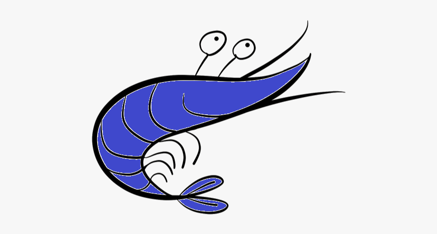 Shrimp Coloring Page, Transparent Clipart