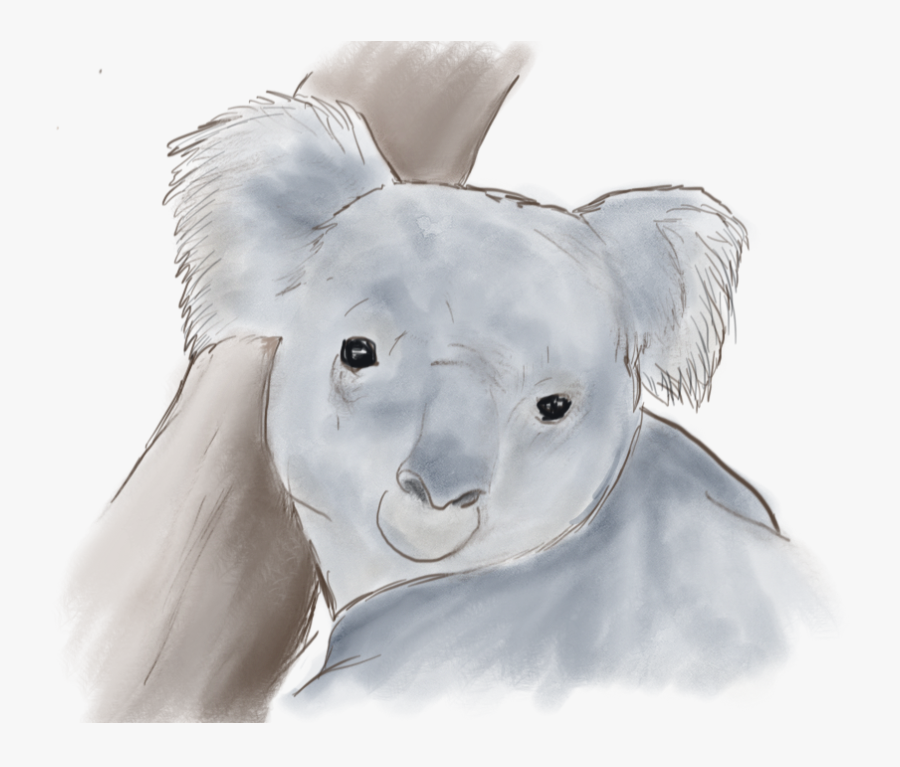 Koala, Transparent Clipart