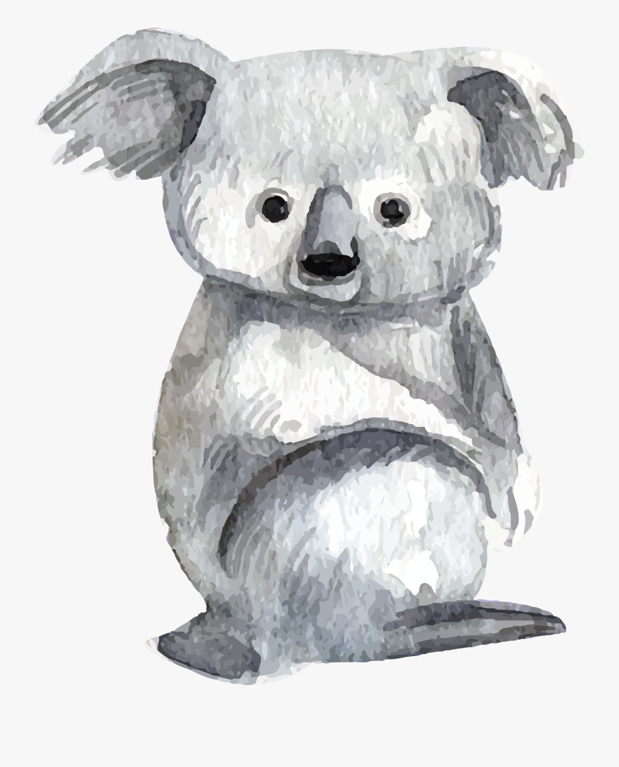 Clip Art Baby Lemur Bear Watercolor - Koala Png Watercolour, Transparent Clipart