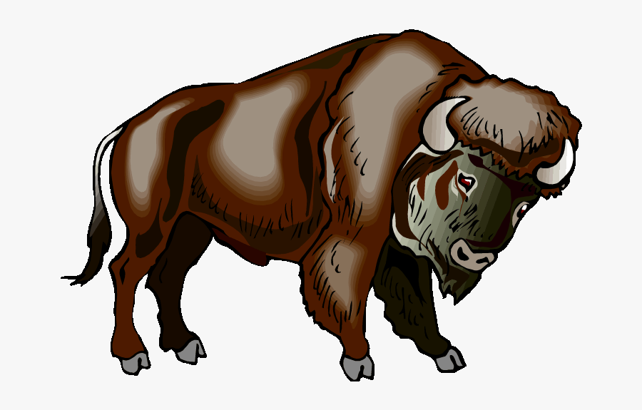 Buffalo Clipart Water Buffalo The Buffalo Clip Art - Clipart Bison, Transparent Clipart