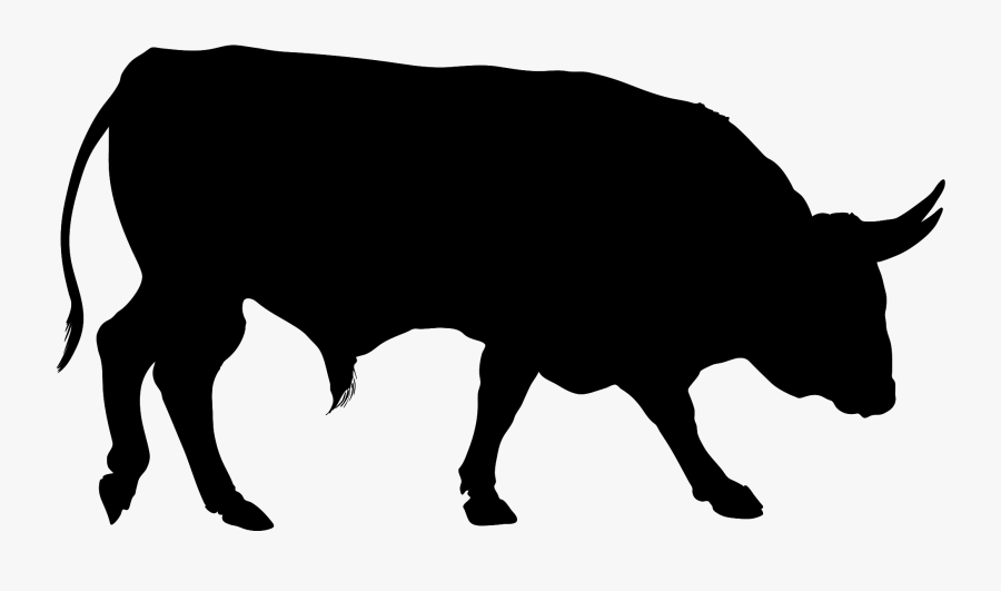 Clip Art Buffalo Illustration Vector Graphics Stock - Clipart Buffalo Black And White, Transparent Clipart