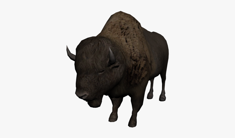 Clip Art Images Of A Buffalo - American Bison Zt2, Transparent Clipart