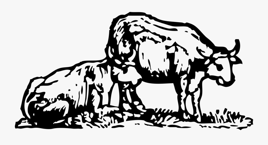 Donkey,art,livestock - Oxen Ox Black And White Drawing, Transparent Clipart