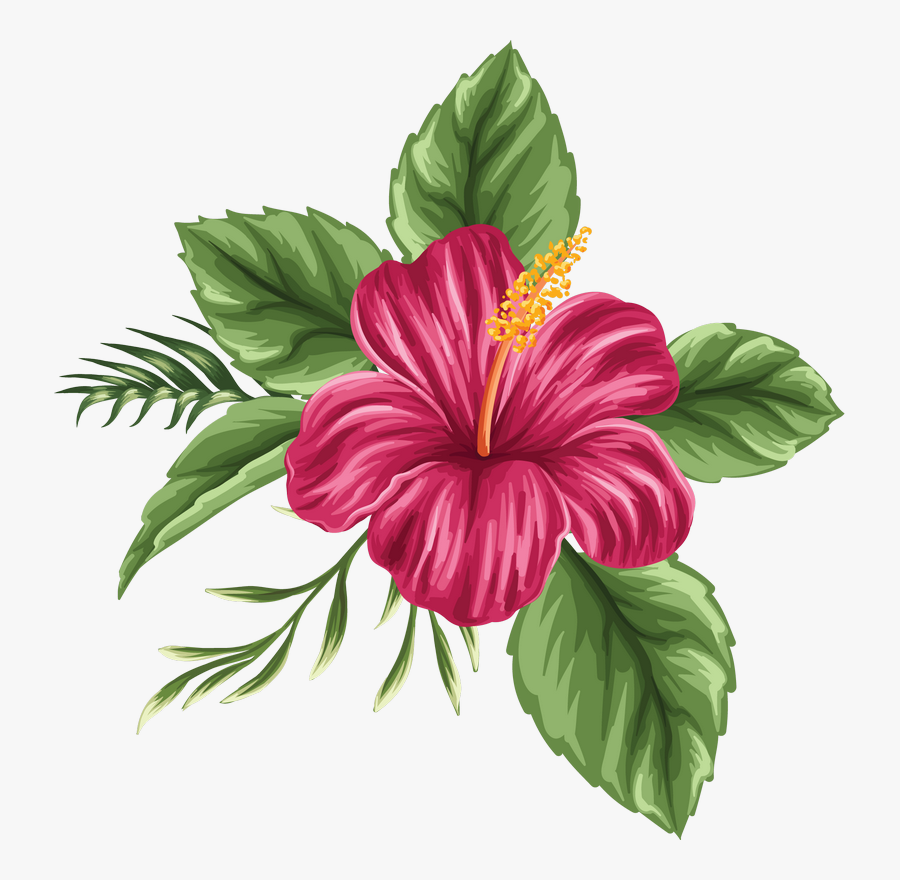 Clip Art Image Du Blog Zezete - Colored Hibiscus Flower Drawing, Transparent Clipart