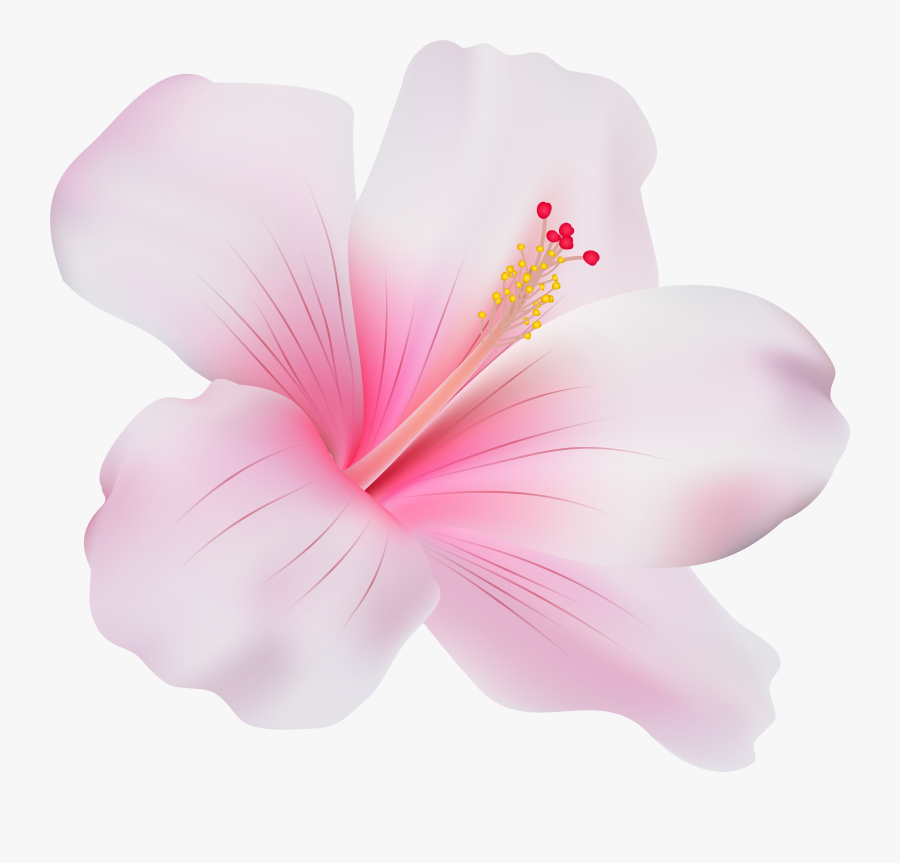 Pink Hibiscus Png Clip Art - Pink Hibiscus Png Transparent, Transparent Clipart