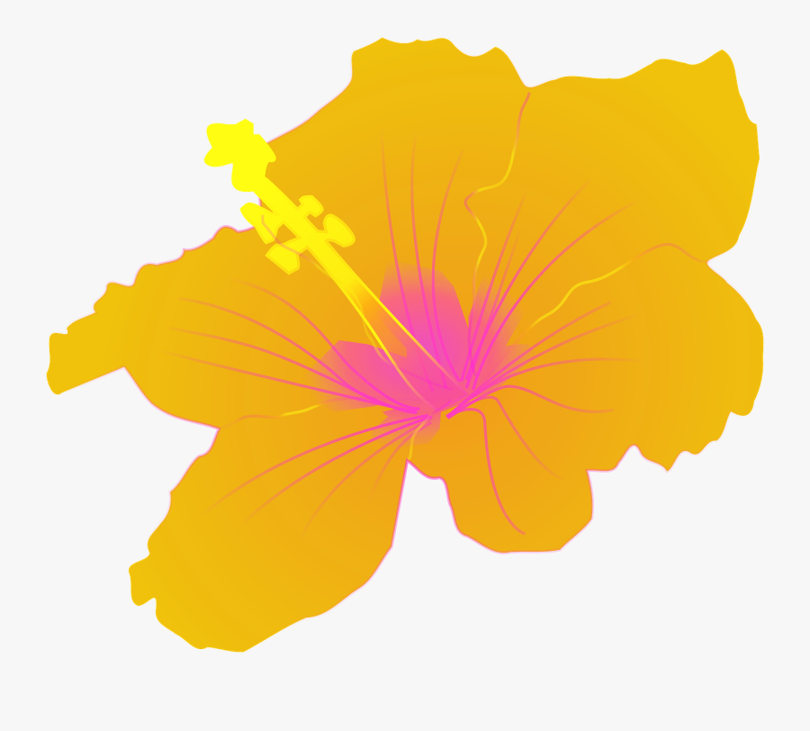 Hibiscus Flower Tropical Floral Png Image - Hibiscus Clip Art, Transparent Clipart