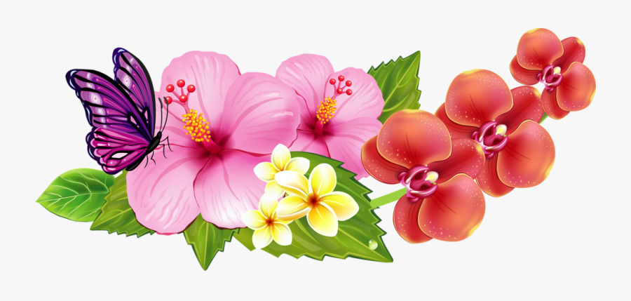 Transparent Hibiscus Clipart Png - Green Flower Vector Border Png, Transparent Clipart