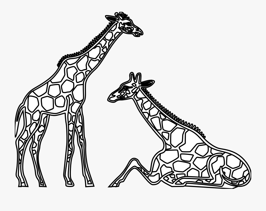 Thumb Image - Giraffes Clipart Black And White, Transparent Clipart