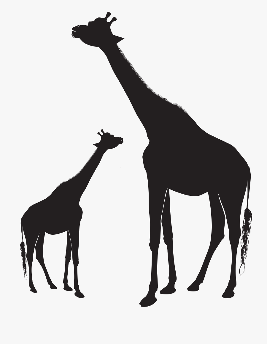 Clip Art Black And White Giraffe, Transparent Clipart