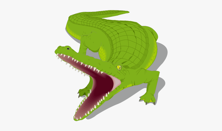 Honey Island Swamp Alligator - Alligator Clip Art, Transparent Clipart