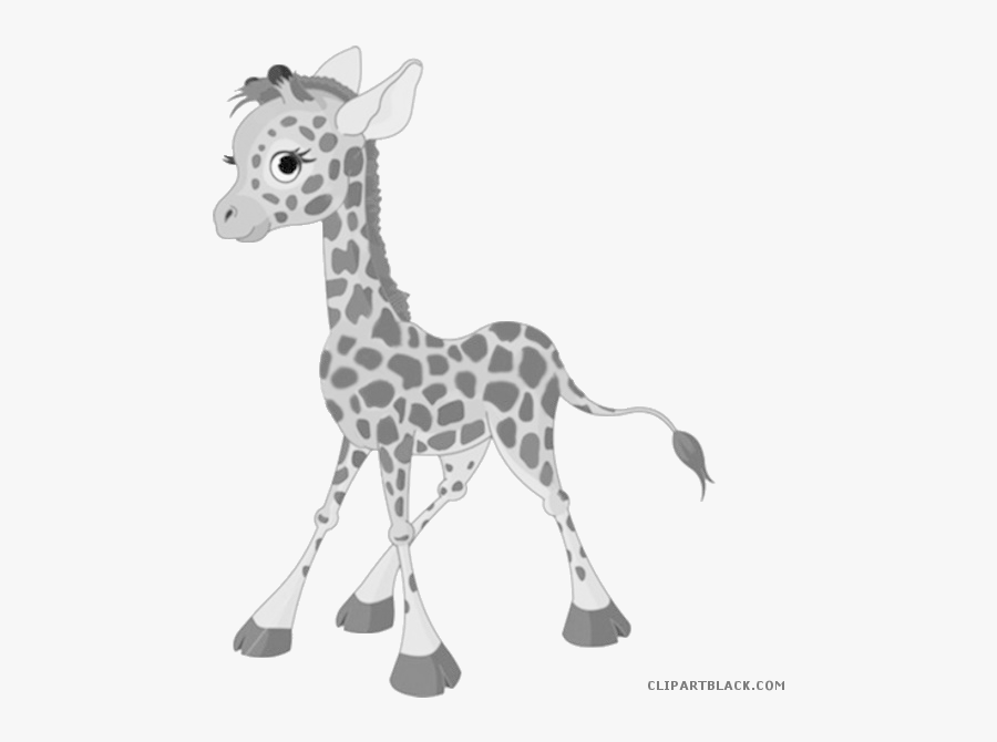 Baby Giraffe Clipart - Baby Giraffe Clipart Black And White, Transparent Clipart