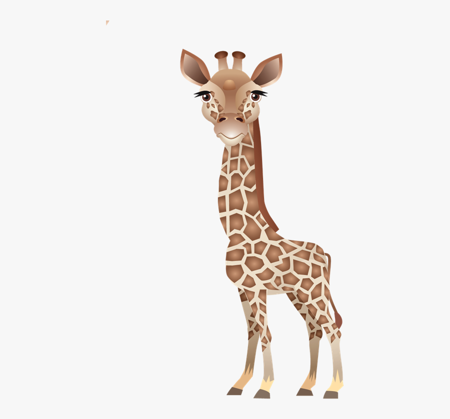 Clip Art Leopard About Giraffes Northern - Giraffe, Transparent Clipart