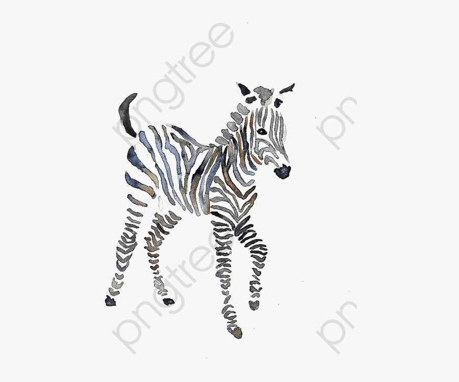 Zebra Clipart Running - Watercolor Zebra Png, Transparent Clipart