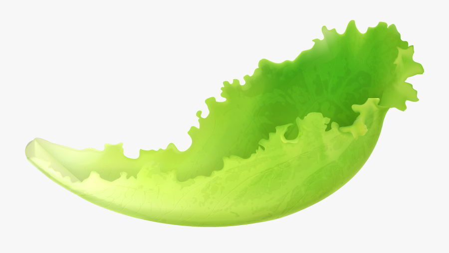 Lettuce Clipart Free Clip Art Images - Lettuce Leaf Clip Art, Transparent Clipart
