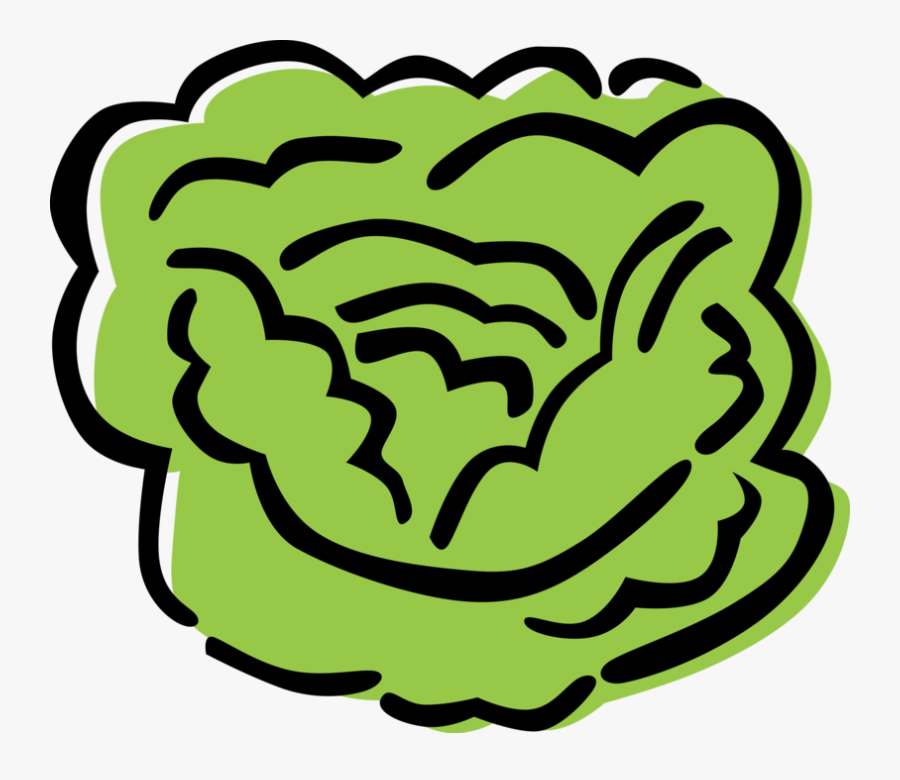 Lettuce Clipart Sliced - Alface Vetor, Transparent Clipart