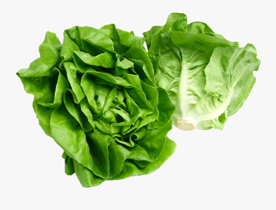 Transparent Lettuce Png - Lettuce Png, Transparent Clipart