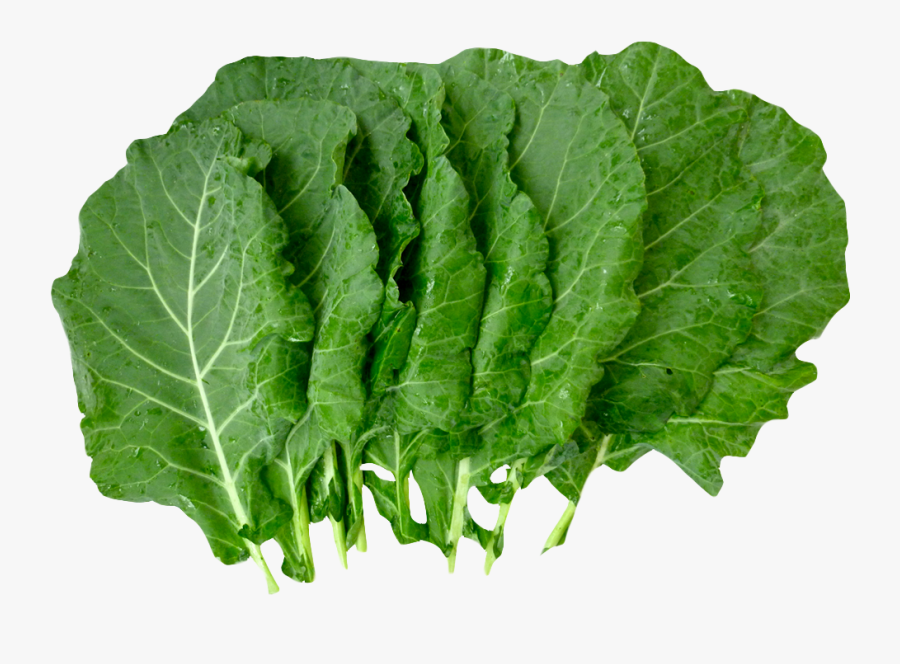 Lettuce Clipart Collard Greens - Collard Greens Png, Transparent Clipart